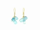 Blue Topaz Briolette Earrings in Gold by Ten Thousand Things
