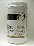Designs for Health - Whey Cool Natural Choc, Flavor 900 gms