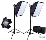 PBL Double QL1000 Contiuous Studio Light Kit (total 2000 wt.)