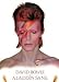 David Bowie (Aladdin Sane) Music Poster Print - 24