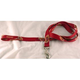 San Francisco 49ers NFL Dog Leash