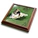 Dogs German Shepherd - German Shepherd - Trivets