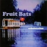 Echolocation [VINYL]