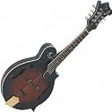 Legacy Deluxe E Tobacco Sunburst