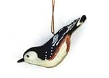 Nuthatch