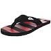 Quiksilver Men's Foundation Beach Sandal