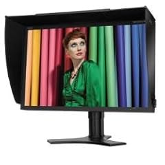 NEC SpectraView Referenz 241 61,1 cm (24,1 Zoll) TFT Monitor DVI-D (Kontrastverh�ltnis 1000:1, Reaktionszeit 16ms) schwarz