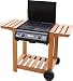 Royal 2 Burner Flat Top barbeque + FREE Cover