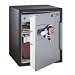Sentry OA5848 2-Cubic Feet Electronic Tubular Key Fire Safe, 211-Pound, Black/Gunmetal Gray