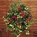SUTTONS SEEDS: Tomato Tumbling Tom Red Seeds (22 seeds)