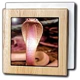 Review 3dRose LLC  / Albino Siamese Cobra - 6 Inch Tile Napkin Holder