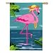 Pink Flamingo Banner