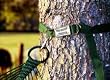 Tree Hugger Hammock Hanging Kit
