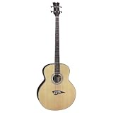 Bass Guitar Acoustic Electric
