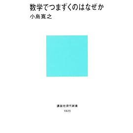 数学でつまずくのはなぜか (講談社現代新書)