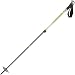 Black Diamond Carbon Probe Ski Pole