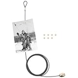 Kikkerland Photo and Card Holder with 8 Magnets, Black