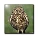Saw Wheat Owl - 6 Inch Ceramic Tile