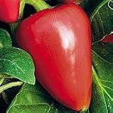 Organic Pimiento L Sweet Pepper - 50 Seeds - B001ERM77M