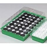 ROMBERG 74556 Treibhaus 56x35x17 cm mit 40 Töpfen 6 cm rund