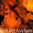 Frozen In Amber