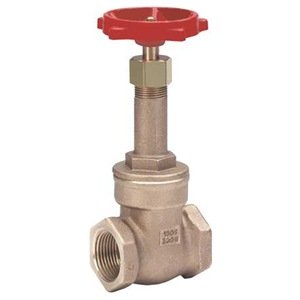Gate Valve, Class 125, FNPT 2 1/2 In