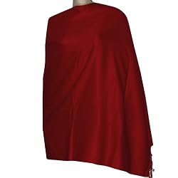 Silk Pashmina Shawls Wrap Womens Accessory 80 x 36 inches (pswl009)