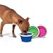 Bamboo Pet Travel Bowl 1 Cup