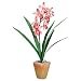 Baumgartens 98045 - Artificial Pink Cymbidiums in a Terra Cotta Pot, 21 Overall Height