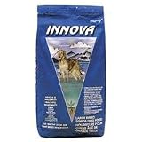 Innova Large Breed Senior Formula Dry Dog Food