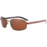 Carrera Andes/S Men's Rectangular Shallow Metal Polarized Lifestyle Sunglasses - Shiny Bronze/Brown Green
