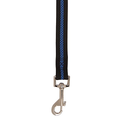 Casual Canine Mesh Dog Lead, 4' Long x Â¾" Wide, Blue