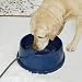 Pet Supplies : K&H Thermal Bowl (Assorted Colors), 96 Ounce