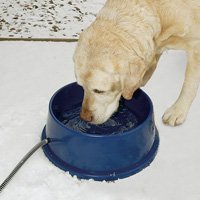 Childrens Toyshop  Pet Supplies : K&H Thermal Bowl (Assorted Colors), 96 Ounce