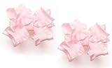 ~ Blooming Bows Mini Ruffle Pony O's Set