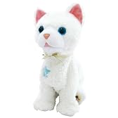 うちのヒロイン さかだちニャッチー