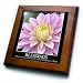 Blessings Rumi Quote- Dahlia Flowers- Floral Photography - 8x8 Framed Tile