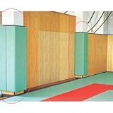 ��N�i�N�T�N���j�{�[�S�p�b�g�i1�������[�g���jSN201