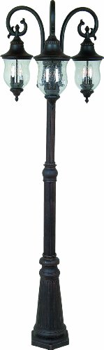 Artcraft Lighting AC8249BK Premiere European Style Complete Triple-Head Post Light, Black