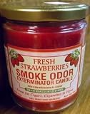 Odor Exterminator Candle Fresh Strawberries 13oz
