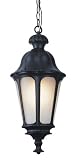 Bel Air Lighting PL-4279 BK Black Outdoor Hanging Light