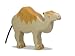 Dromedary