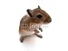 Wallmonkeys Peel and Stick Wall Decals - Souris Debout - Removable Graphic