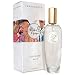 Terra Nova White Ginger Cologne Mist - 2 fl.oz.