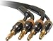 Dayton SCP-6 Speaker Cable Pair w/Bananas 6 ft.
