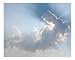 Glory of Life Scenic Photographic Poster Print by Jason Carnes, 20x16