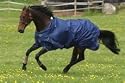 Mark Todd Lightweight Turnout Rug-7'0 Navy