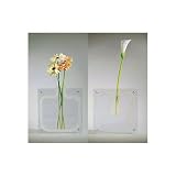 VersaVase Flower Vase
