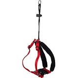 UPC 800443119778 product image for Petco Red Non-Pull Mesh Dog Harness, Small | upcitemdb.com