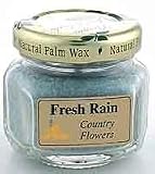 Aloha Bay Palm Wax Candles - Fresh Rain (Turquoise) - Scented Trip Light Jars 1.2 oz 12 Hours
